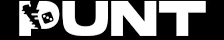Punt.com social casino logo