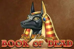 Book of Dead online slot