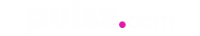 Pulsz casino logo