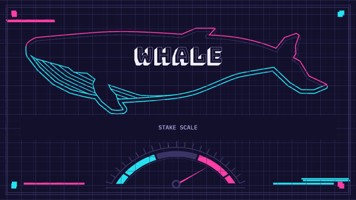 Large whale silhouette above a stake-scale gauge illustrating the gambling term whale.