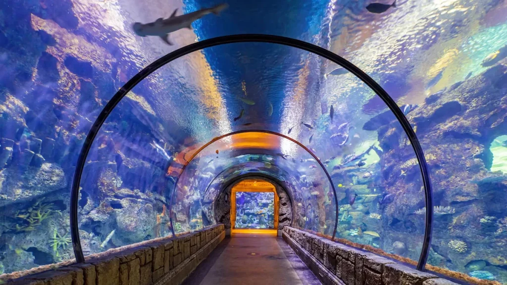 Shark Reef Aquarium inside Mandalay Bay in Las Vegas.